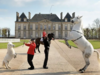 Le Haras national du Pin